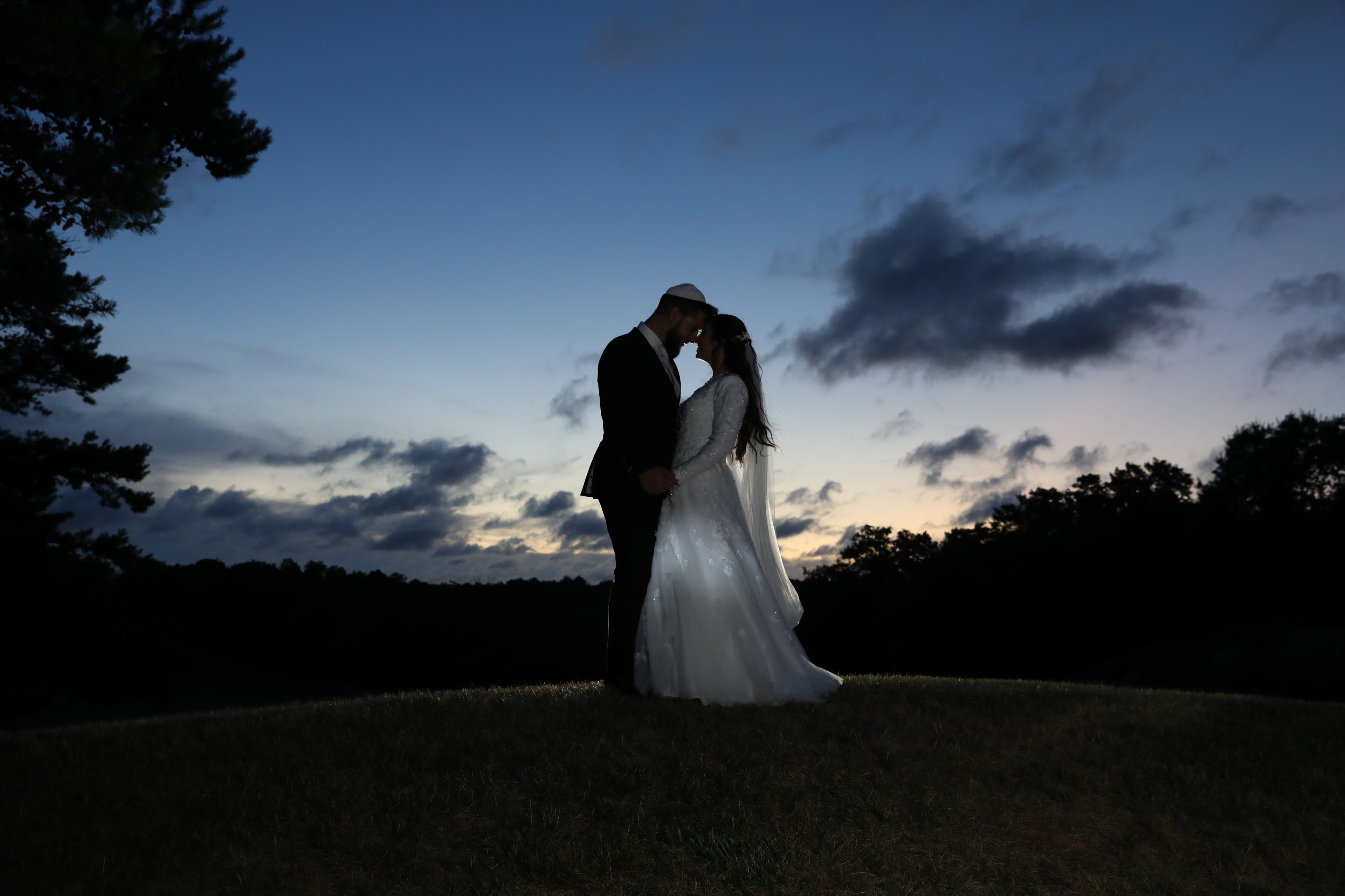 Couple silhouette at twilight